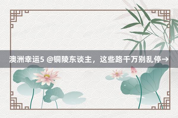 澳洲幸运5 @铜陵东谈主，这些路千万别乱停→