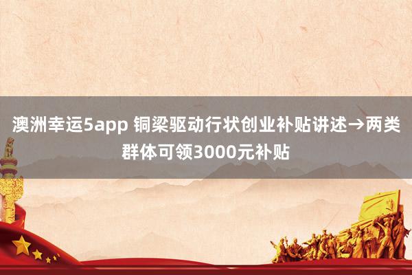 澳洲幸运5app 铜梁驱动行状创业补贴讲述→两类群体可领3000元补贴