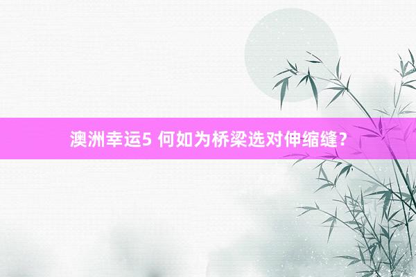 澳洲幸运5 何如为桥梁选对伸缩缝？