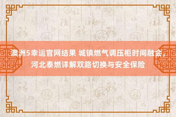 澳洲5幸运官网结果 城镇燃气调压柜时间融会，河北泰燃详解双路切换与安全保险