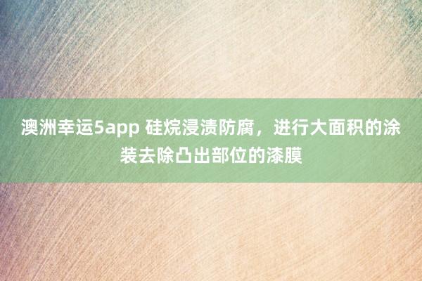 澳洲幸运5app 硅烷浸渍防腐，进行大面积的涂装去除凸出部位的漆膜