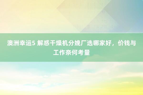 澳洲幸运5 解惑干燥机分娩厂选哪家好，价钱与工作奈何考量