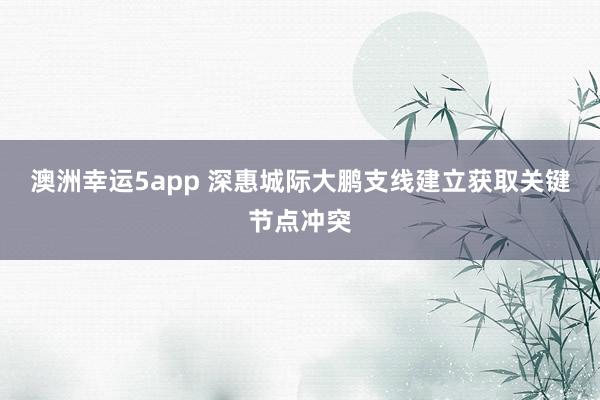 澳洲幸运5app 深惠城际大鹏支线建立获取关键节点冲突