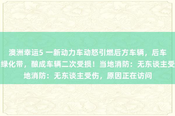 澳洲幸运5 一新动力车动怒引燃后方车辆，后车车主挪车空虚冲向绿化带，酿成车辆二次受损！当地消防：无东谈主受伤，原因正在访问