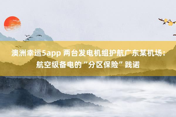 澳洲幸运5app 两台发电机组护航广东某机场：航空级备电的“分区保险”践诺