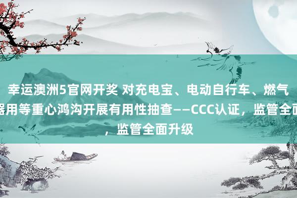 幸运澳洲5官网开奖 对充电宝、电动自行车、燃气点火器用等重心鸿沟开展有用性抽查——CCC认证，监管全面升级