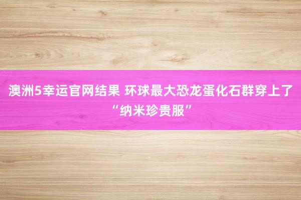 澳洲5幸运官网结果 环球最大恐龙蛋化石群穿上了“纳米珍贵服”