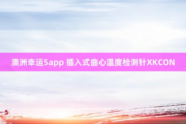 澳洲幸运5app 插入式曲心温度检测针XKCON